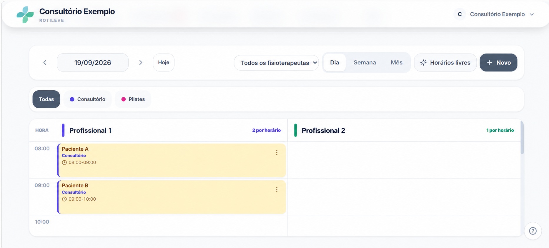 Agenda do RotiLeve organizada por profissional e horário